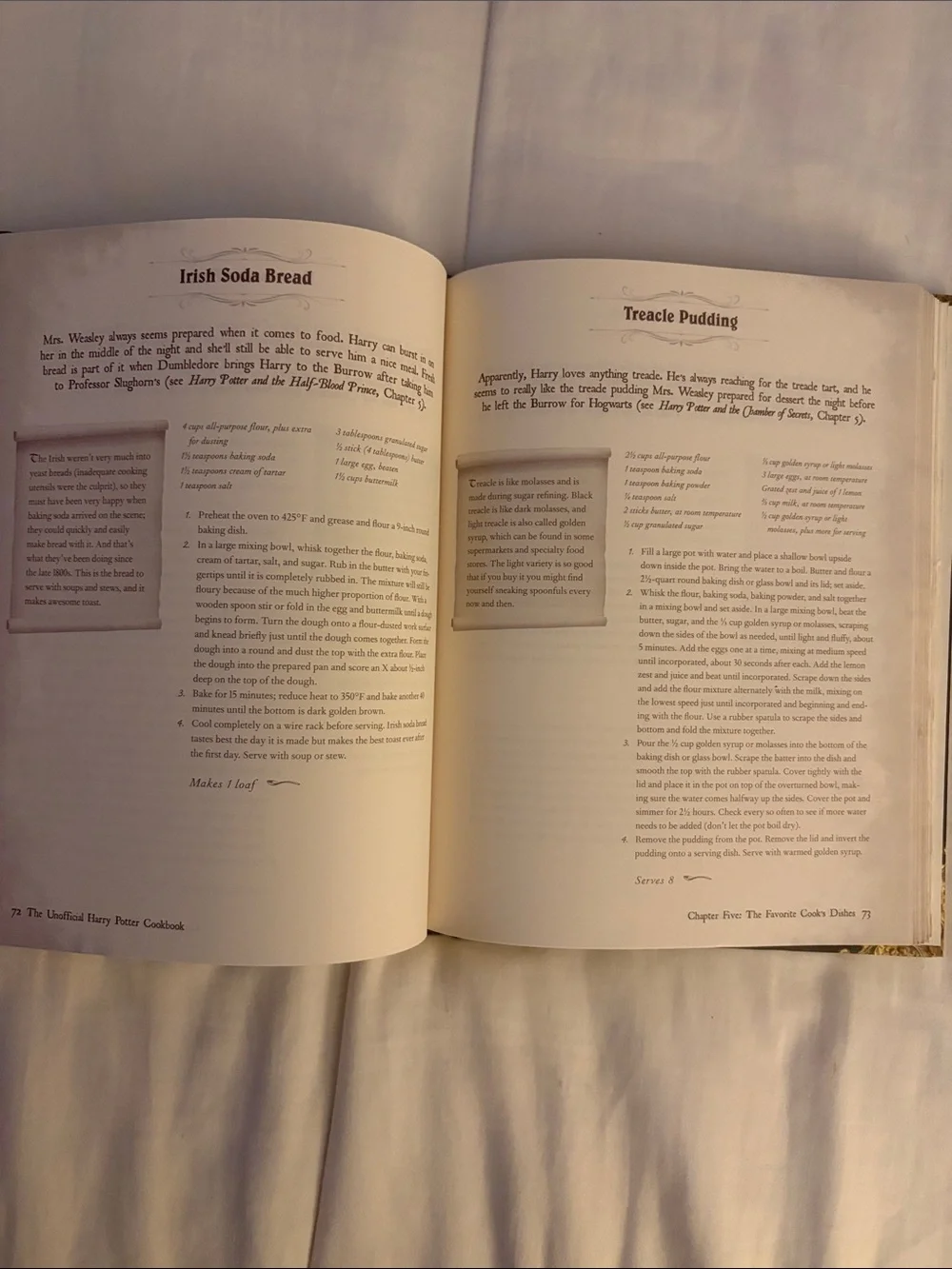 The Unofficial Disney Parks Cookbook & The Unofficial Harry Potter Cookbook